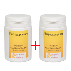 HARPAGOPHYTUM 2 x 60 gélules