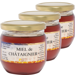 Miel de Châtaignier, les 3 pots de 500g